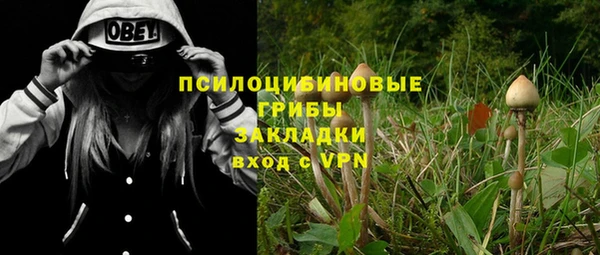 mix Алексин