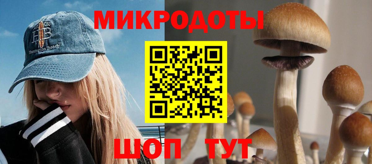 дарнет шоп  Вход с VPN  Люберцы  Галлюциногенные грибы ЛСД  Галлюциногенные грибы GOLDEN TEACHER 